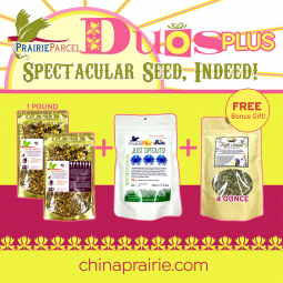 Duos Plus-Spectacular Seed, Indeed!